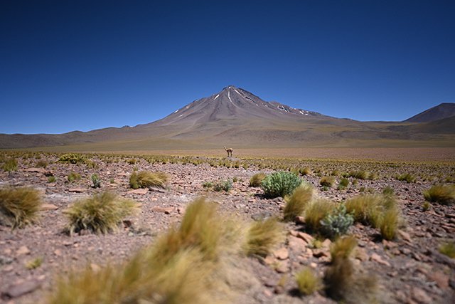 OrizzoneConMontagna